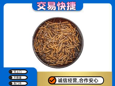 大理回收散虫草